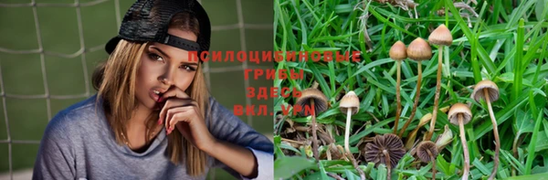 тгк Белокуриха