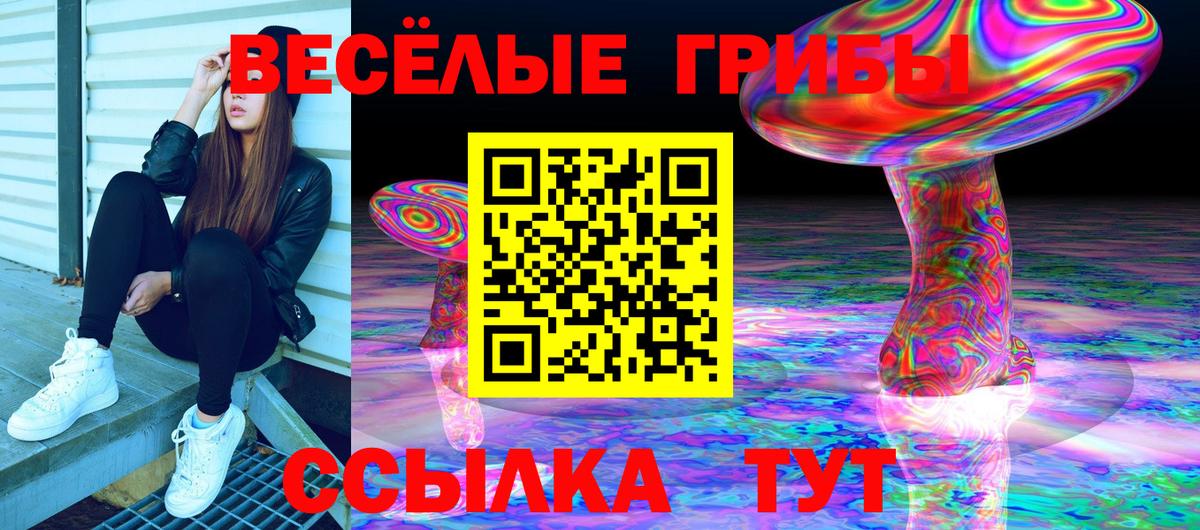 Галлюциногенные грибы Psilocybine cubensis Волжск